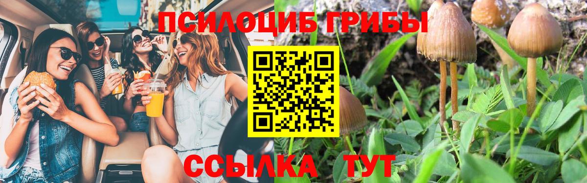 Псилоцибиновые грибы GOLDEN TEACHER Радужный